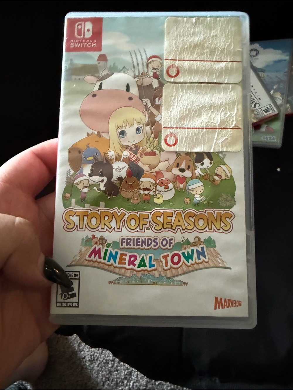 empty nintendo switch game cases